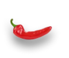 Sophias Kitchen Biddulph