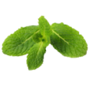 Sophias Kitchen Biddulph