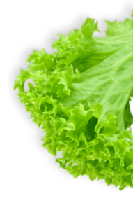 Sophias Kitchen Biddulph