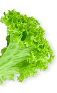 Sophias Kitchen Biddulph