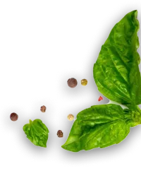 Sophias Kitchen Biddulph